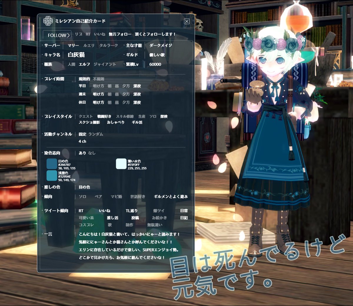 白灰猫 tweet media