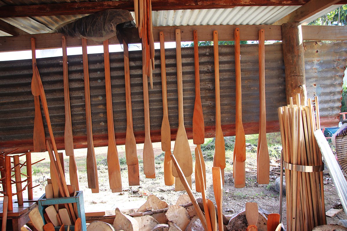 Ministry of Forestry tweet media