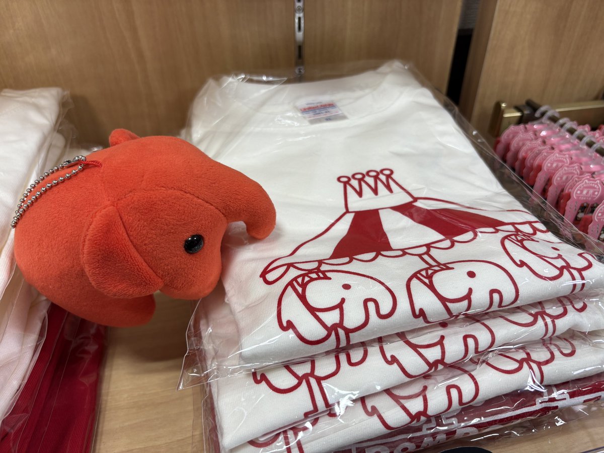 マルハナ商店さんでグッズを選ぶどむぞうくん🐘 最後はトートバッグに