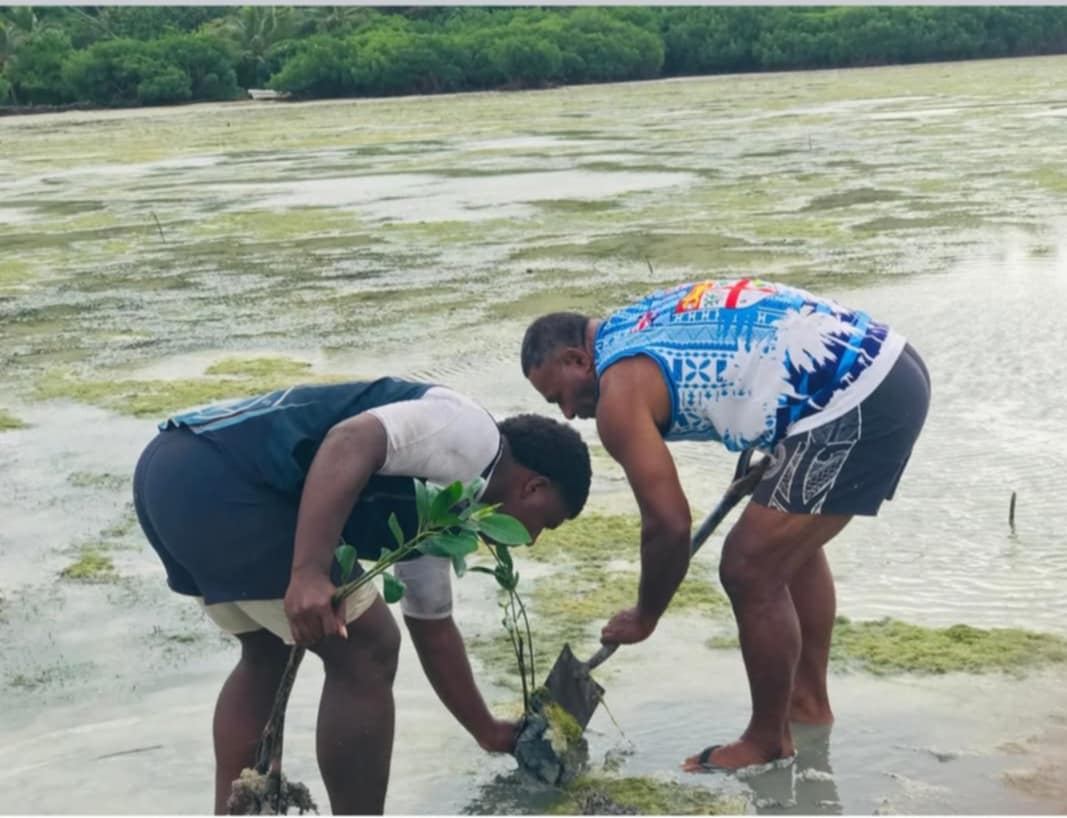 Ministry of Forestry tweet media