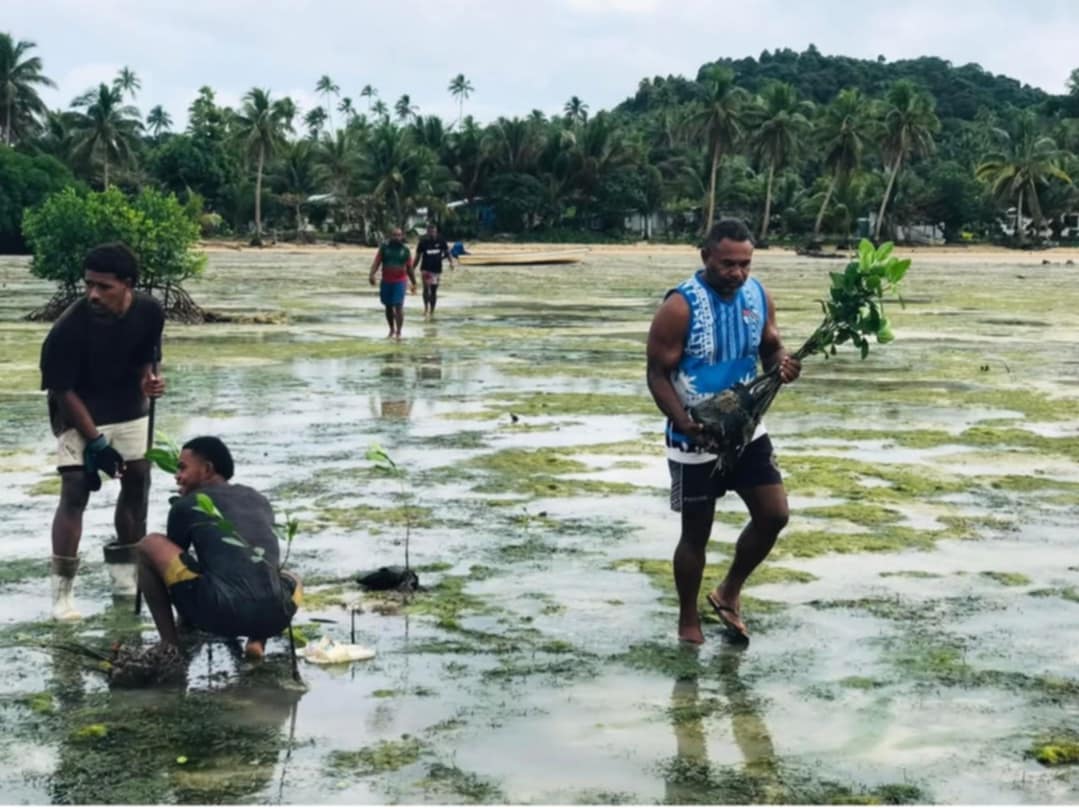 Ministry of Forestry tweet media