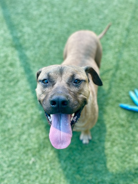 Suspense tweet media