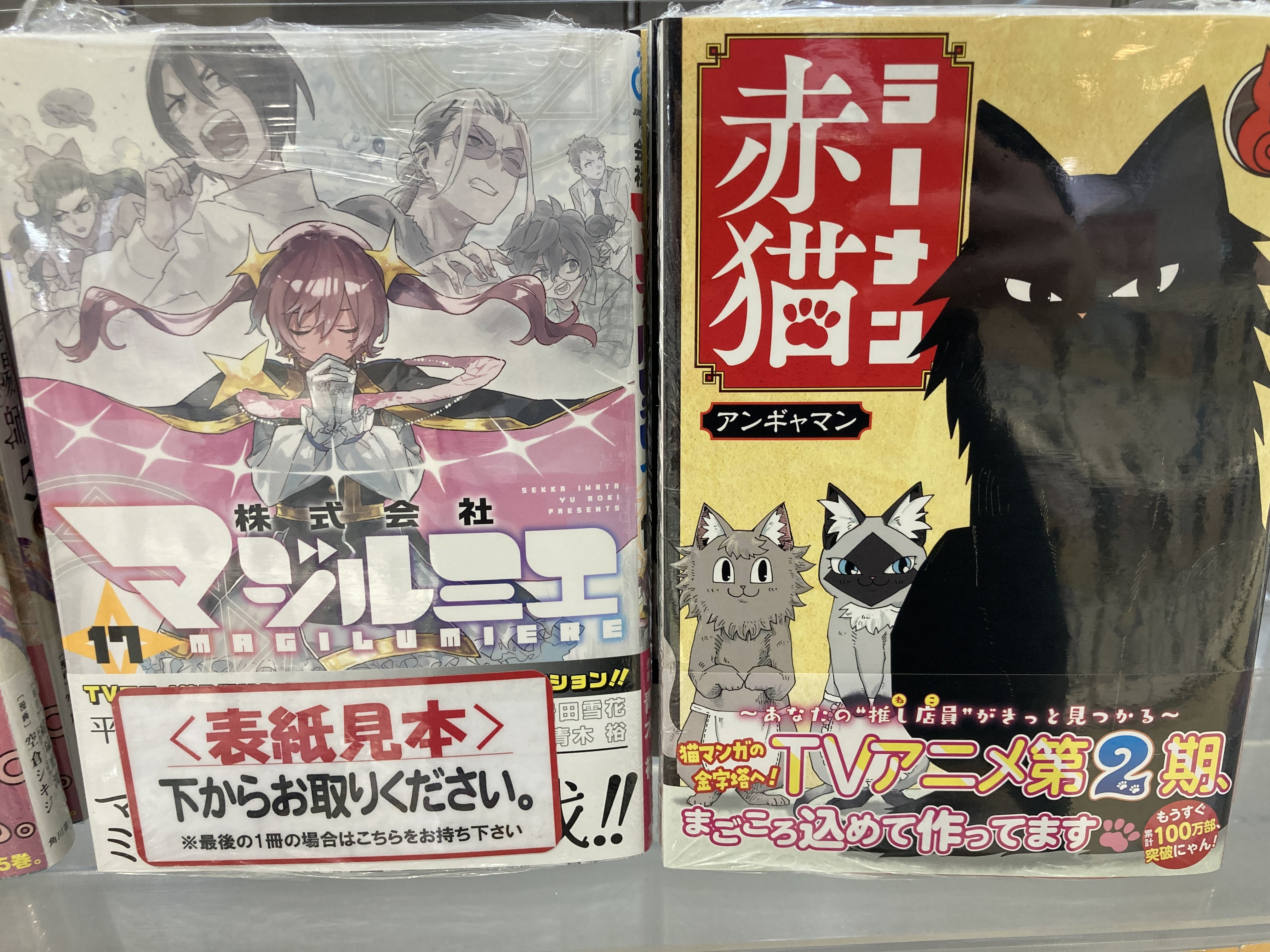 再婚承認を要求します 1〜5巻 @LINEmanga's video Tweet