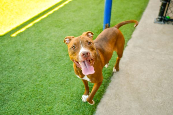 Suspense tweet media