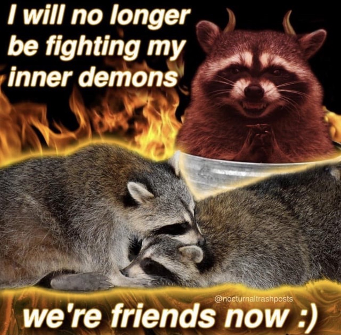 raccoon aesthetic. (@raccoonesthetic) on Twitter photo 