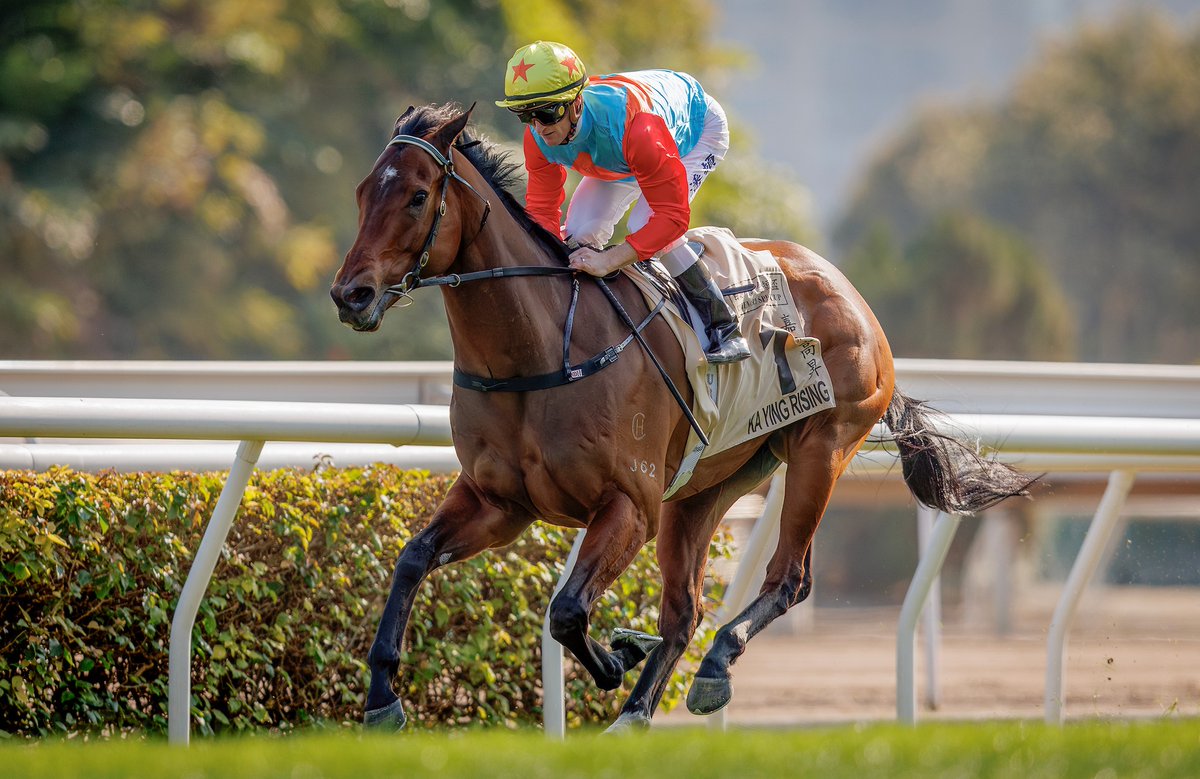 NZ Racing News (@nzracingnews) on Twitter photo NEWS: Star Kiwi-bred sprinter Ka Ying Rising, a son of Windsor Park Stud stallion Shamexpress, will represent HKJC Racing in The Everest for trainer David Hayes racingnews.co.nz/ka-ying-rising… NEWS: Star Kiwi-bred sprinter Ka Ying Rising, a son of Windsor Park Stud stallion Shamexpress, will represent HKJC Racing in The Everest for trainer David Hayes racingnews.co.nz/ka-ying-rising…