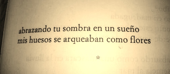 #Poesía #AlejandraPizarnik