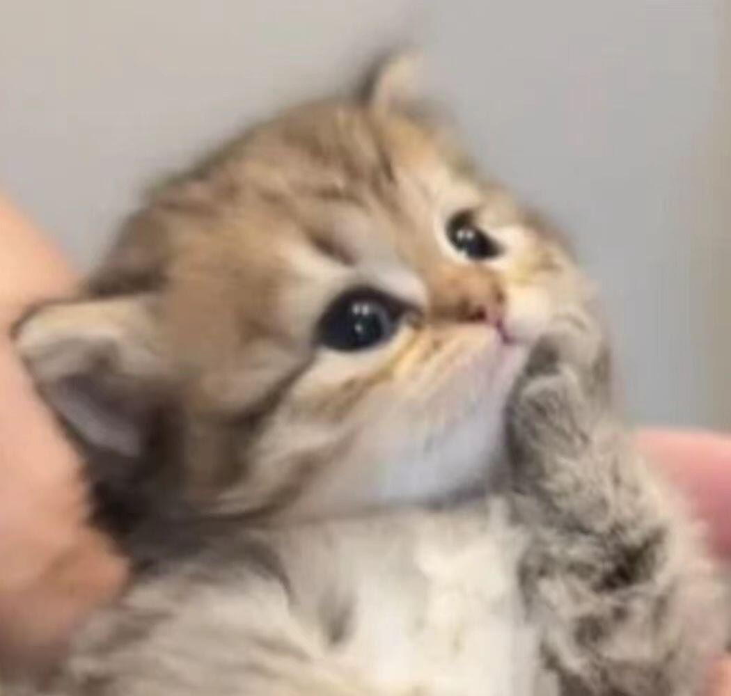 iamfleian's tweet photo. Guys what if I focus and aim to study a certain course, will you support me?
I think I found my calling....but in Australia....
perhaps... just some life goal thoughts
#vtuber #goalsinlife https://t.co/ID9BTbL9YV