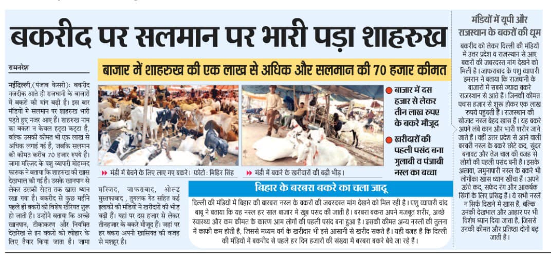 बकरीद पर सलमान पर भारी पड़ा शाहरुख 
#बकरीद #Eid2025