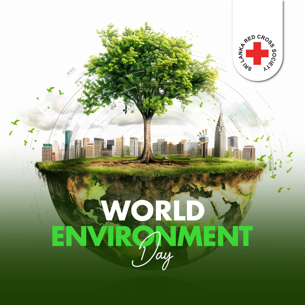 Today is World Environment Day. 🌍
As the Sri Lanka Red Cross Society, we stand in solidarity with global efforts to put an end to plastic pollution — today and every day. ♻️🌱