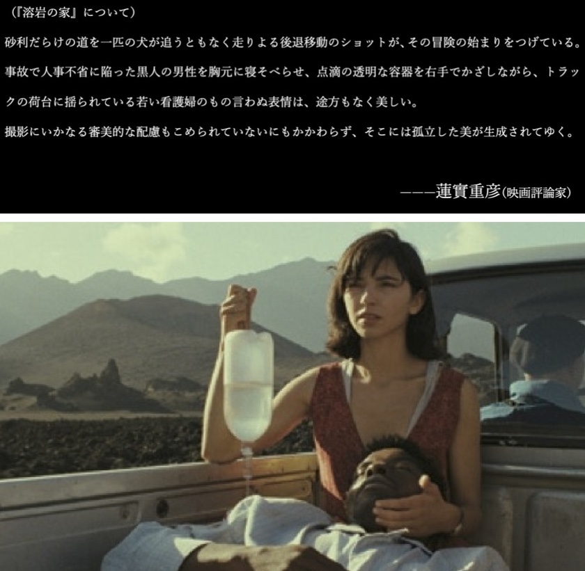 蓮實重彦さん 『溶岩の家』についてのコメント