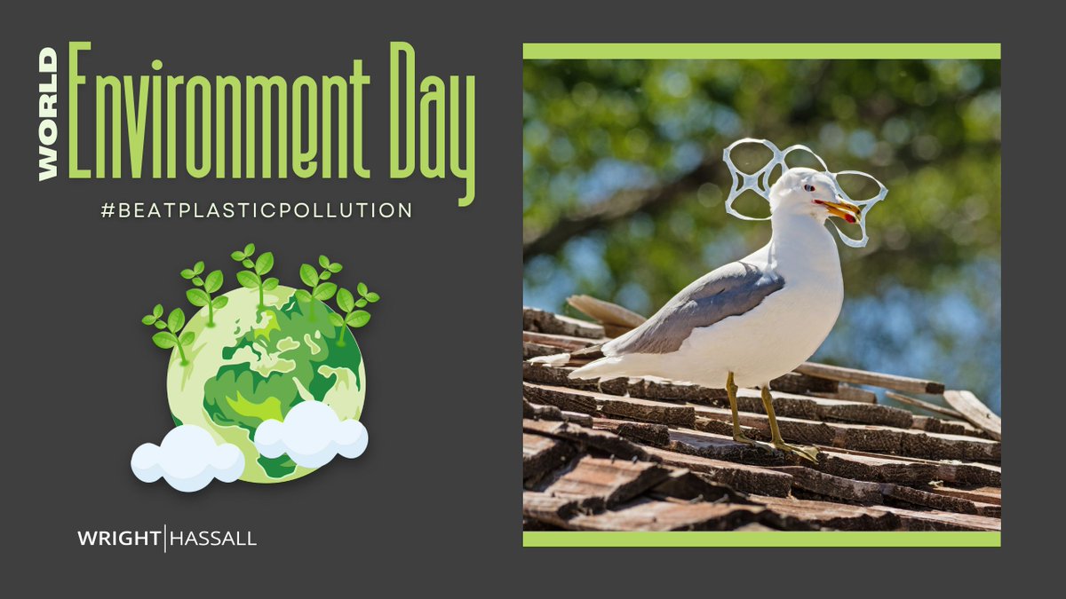 Today is #WorldEnvironmentDay 🌍 

At Wright Hassall, we're encouraging everyone to ditch single-use plastics — small changes, big impact.

#BeatPlasticPollution #Sustainability #EveryClientAnAdvocate