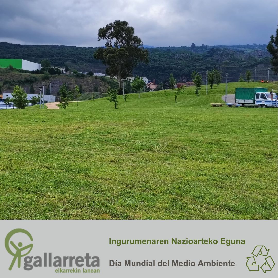Celebramos el Día Mundial del Medio Ambiente reafirmando nuestro compromiso con un planeta más sostenible y una sociedad más inclusiva.
Trabajamos desde la inclusión, la diversidad y el respeto por el entorno, en línea con los ODS.
Porque no hay sostenibilidad sin inclusión.