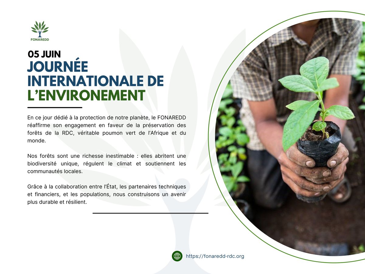 🌳05 JUIN : JOURNÉE INTERNATIONALE DE L’ENVIRONEMENT

En ce jour dédié à la protection de notre planète, le FONAREDD réaffirme son engagement en faveur de la préservation des forêts de la RDC, véritable poumon vert de l’Afrique et du monde.

Nos forêts sont une richesse