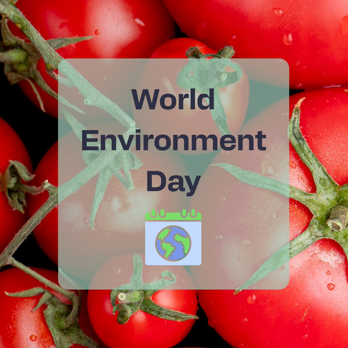 CONFETIProject (@confetiproject) on Twitter photo 🌍On #WorldEnvironmentDay, <a href="/CONFETIProject/">CONFETIProject</a> proudly supports nature-positive #innovation.
🔬As part of <a href="/EUeic/">European Innovation Council</a>'s #CO2 & #Nitrogen #Valorization #Portfolio, we turn #emissions into #greenfertilizers.
🌿A step toward climate-smart, #circular #agriculture.
ℹ️confetiproject.eu/en 🌍On #WorldEnvironmentDay, <a href="/CONFETIProject/">CONFETIProject</a> proudly supports nature-positive #innovation.
🔬As part of <a href="/EUeic/">European Innovation Council</a>'s #CO2 & #Nitrogen #Valorization #Portfolio, we turn #emissions into #greenfertilizers.
🌿A step toward climate-smart, #circular #agriculture.
ℹ️confetiproject.eu/en