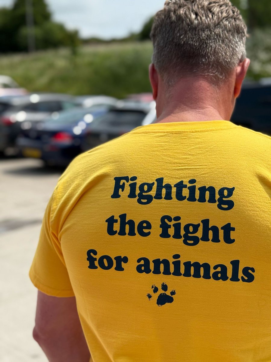 nowzad.com/store/product/… It’s availabubble now!!! 😂🤩🥰🙏