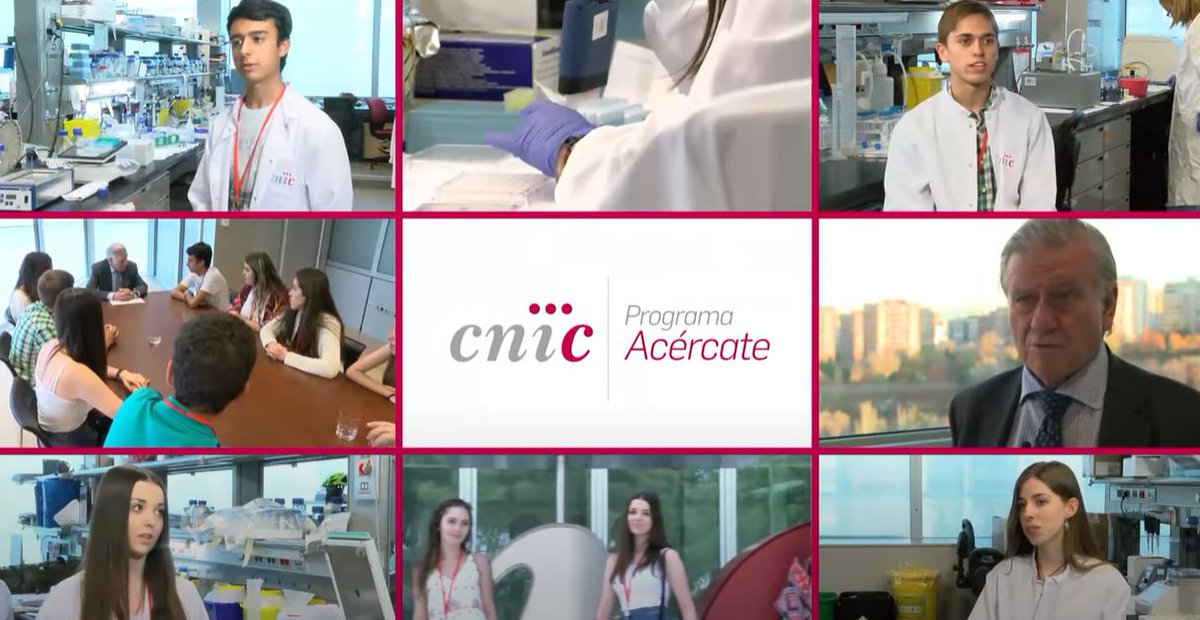 CNIC (@cnic_cardio) on Twitter photo 🚀 ¡Arranca la convocatoria del Programa de  #ACÉRCATE 2025! 🔬
¿Acabas de finalizar 2º de Bachillerato en Ciencias y Tecnología con excelentes resultados? 🎓✨ El <a href="/CNIC_CARDIO/">CNIC</a> te invita a sumarte a este plan de #Formación que ofrece:
 🔹 Aprendizaje de técnicas de #laboratorio 🚀 ¡Arranca la convocatoria del Programa de  #ACÉRCATE 2025! 🔬
¿Acabas de finalizar 2º de Bachillerato en Ciencias y Tecnología con excelentes resultados? 🎓✨ El <a href="/CNIC_CARDIO/">CNIC</a> te invita a sumarte a este plan de #Formación que ofrece:
 🔹 Aprendizaje de técnicas de #laboratorio