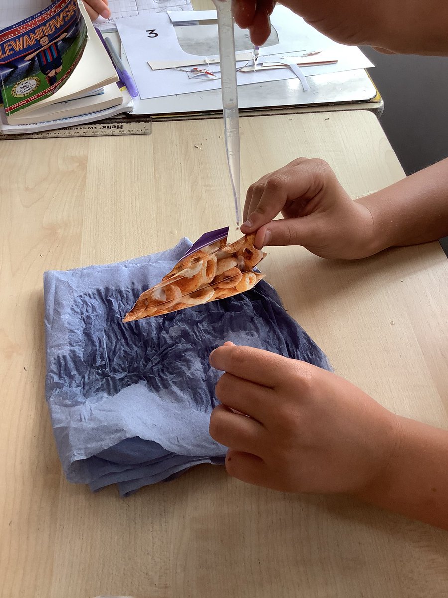 Emma Kelly (@ekellystannes) on Twitter photo Year six have been discovering how and why plants have adapted over millions of years. We investigated how different Rainforest plant react to water and used our findings to work out the plant’s habitat. <a href="/StAnnes_EHS/">Emma Hardy Smith @ St.Anne’s</a> Year six have been discovering how and why plants have adapted over millions of years. We investigated how different Rainforest plant react to water and used our findings to work out the plant’s habitat. <a href="/StAnnes_EHS/">Emma Hardy Smith @ St.Anne’s</a>