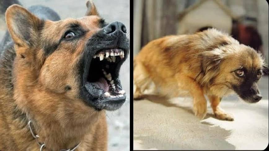 Akasasi clout vs their results on matchday 4 

#MbrawillaskJibu💦