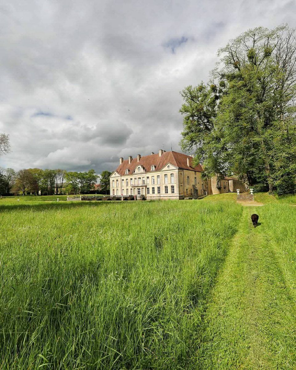 🔴 𝗟𝗘 𝗖𝗢𝗠𝗕𝗔𝗧 𝗖𝗢𝗡𝗧𝗜𝗡𝗨𝗘 | À Commarin, c'est tous les jours la #JourneeMondialedelEnvironnement ! 🍀 

Posé dans un écrin de verdure, le château respecte et préserve la beauté des paysages de #Bourgogne, terre de campagnes ! 🌳