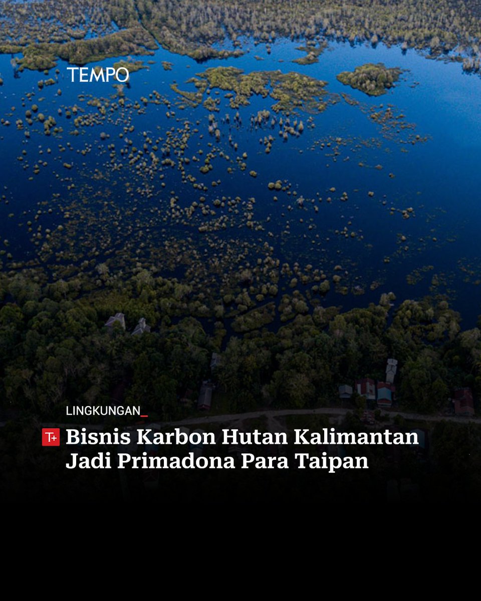 Hutan Kalimantan menjadi primadona bagi taipan peminat bisnis karbon.

Setidaknya hingga akhir 2023, sebanyak 76 perusahaan memohon izin dan mengincar kawasan hutan seluas 1,98 juta hektare di Bumi Borneo.

#tempodotco #tempo #proyek #bisnis #karbon #taipan #Kalimantan