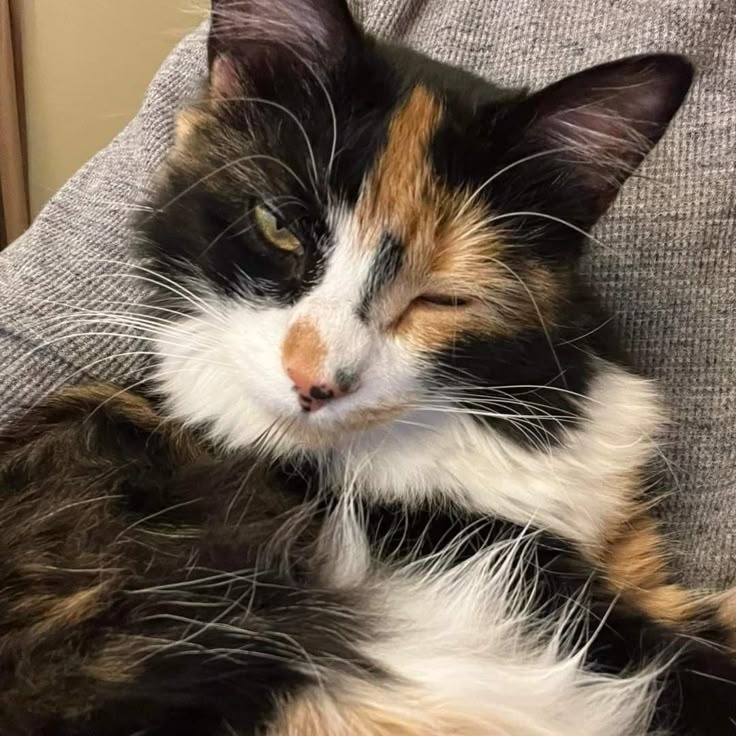 𝓦𝐢𝐧𝐭𝐞𝐫. tweet media