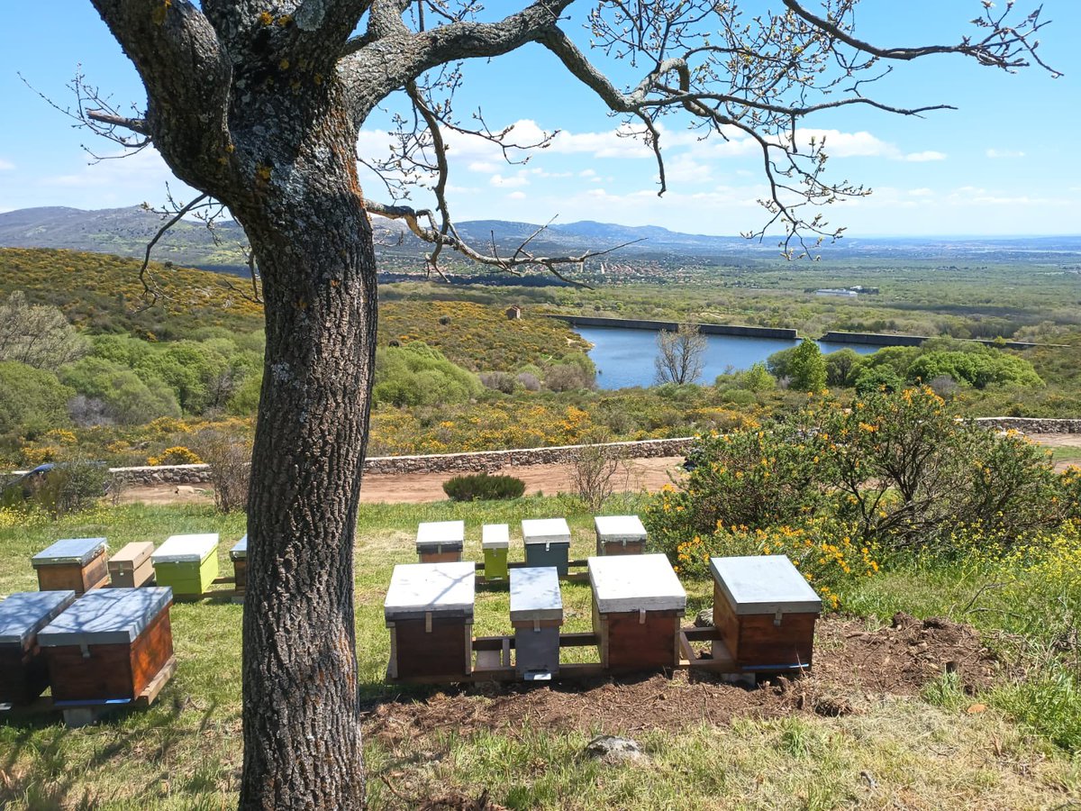 En el #DiaMundialDelMedioAmbiente, celebramos el entorno privilegiado en el que vivimos y recordamos la importancia de cuidarlo. ¡Únete a nosotros!