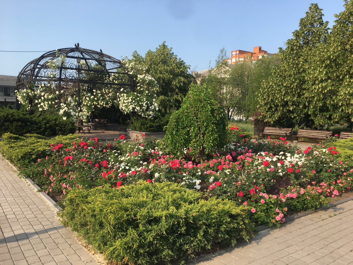 Asklepy's tweet image. Донецк цветущий❤️, чуть на работу не опоздал😊