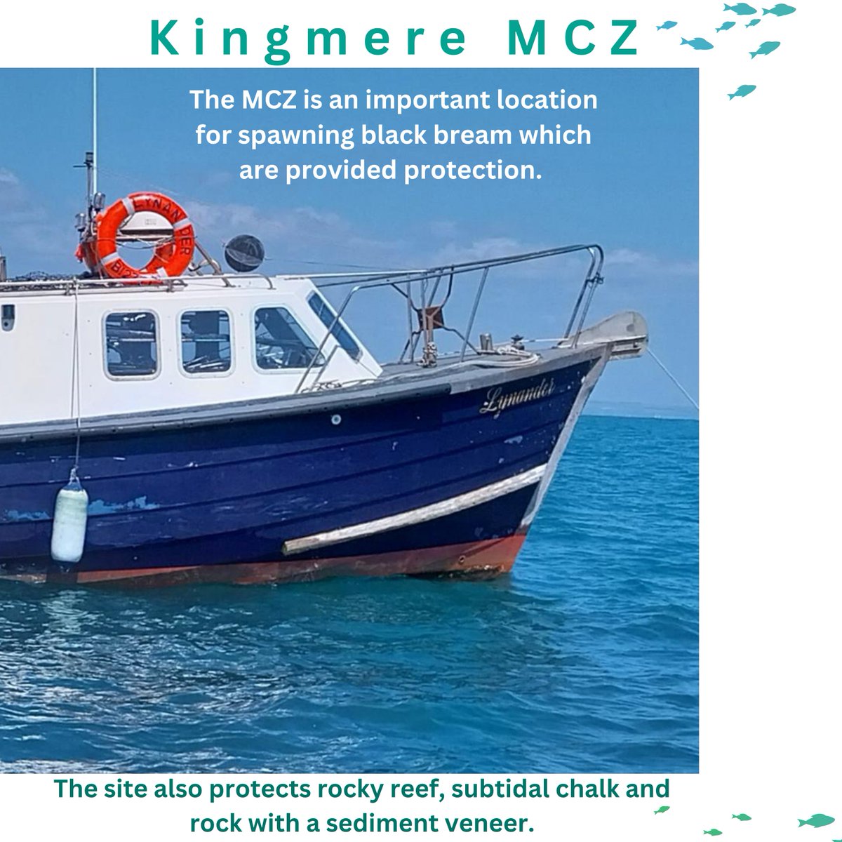 🎣 Fishing in #KingmereMCZ

Zone 1 No fishing during bream breeding season Zones 2–4: Max 4 bream per person on board  Patrols show strong compliance—thank you anglers!  

🔗 sussex-ifca.gov.uk/regulations#ki…

#sussex #inshorefishing #bream #angling #sussexifca #seafishing #sussexfishing