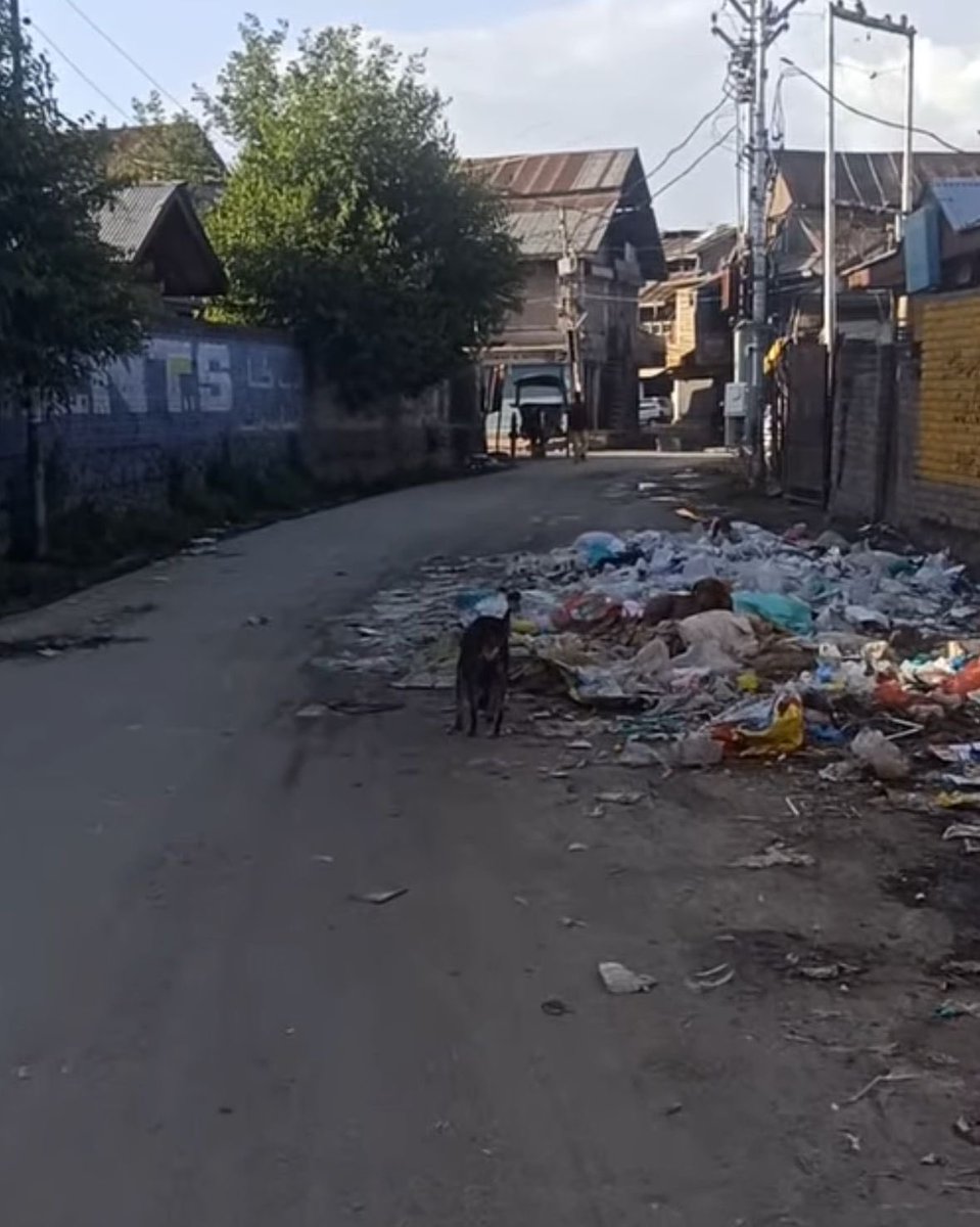 Sajad Lone (@sajadlone) on Twitter photo Dear CM sahib <a href="/CM_JnK/">Office of Chief Minister, J&K</a> The pictures below are from Handwara Town. And predictably I have been the recipient of quite a bit of online abuse.
Please tell the abusers that this is the job of the local town authorities. And that comes under Urban Development deaprtment. And Dear CM sahib <a href="/CM_JnK/">Office of Chief Minister, J&K</a> The pictures below are from Handwara Town. And predictably I have been the recipient of quite a bit of online abuse.
Please tell the abusers that this is the job of the local town authorities. And that comes under Urban Development deaprtment. And