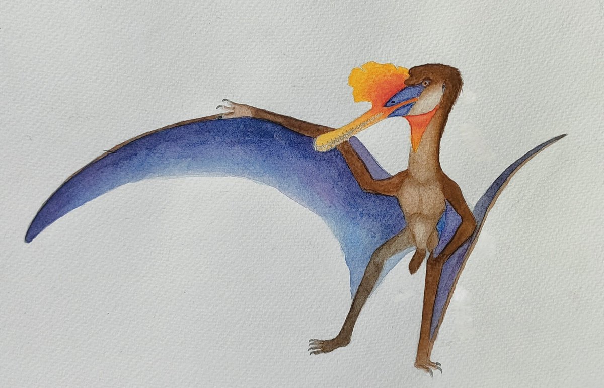 Garudapterus
#paleoart