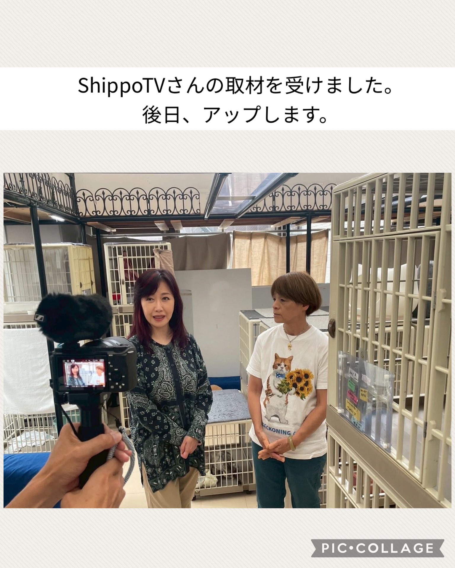 一般社団法人動物レスキューチームうーにゃん (@teamu_nyan) / X