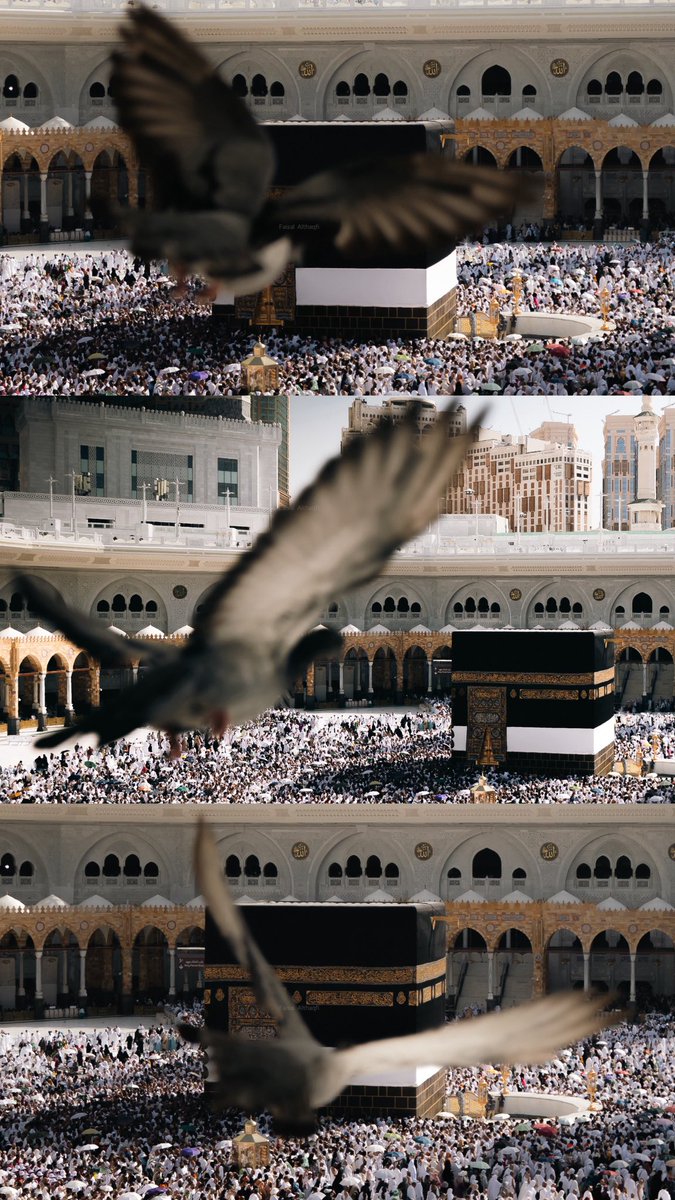 اللهمَّ يمِّن كتابَ أمِّي ويسِّر حسابها وثقِّل بالحسناتِ ميزانها وثبِّت على الصراط أقدامها وأسكنها اللهمَّ 
في الفردوس الأعلى من الجنة .. 

اللهمَّ أطعمها من طعام الجنة وإسقها من نهر الكوثر ياربَّ العالمين وجميع موتانا وموتى المسلمين برحمتك يا أرحم الراحمين .. 

 #يوم_عرفه