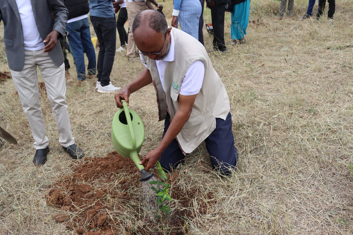 Today, on #WorldEnvironmentDay2025, we would like to remind you that protecting our planet isn’t a choice,it’s our responsibility. From reforestation to waste reduction, every action counts. Let’s unite for a cleaner, greener, and fairer future. The time to act is now!