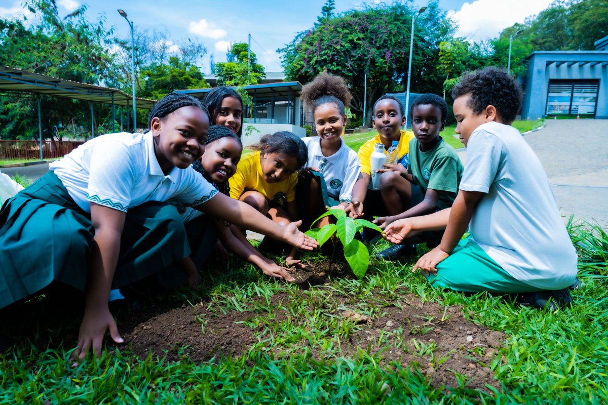 GHA_rwanda's tweet image. Happy #WorldEnvironmentDay!
Let’s keep caring for our planet every day! 🌱🌍