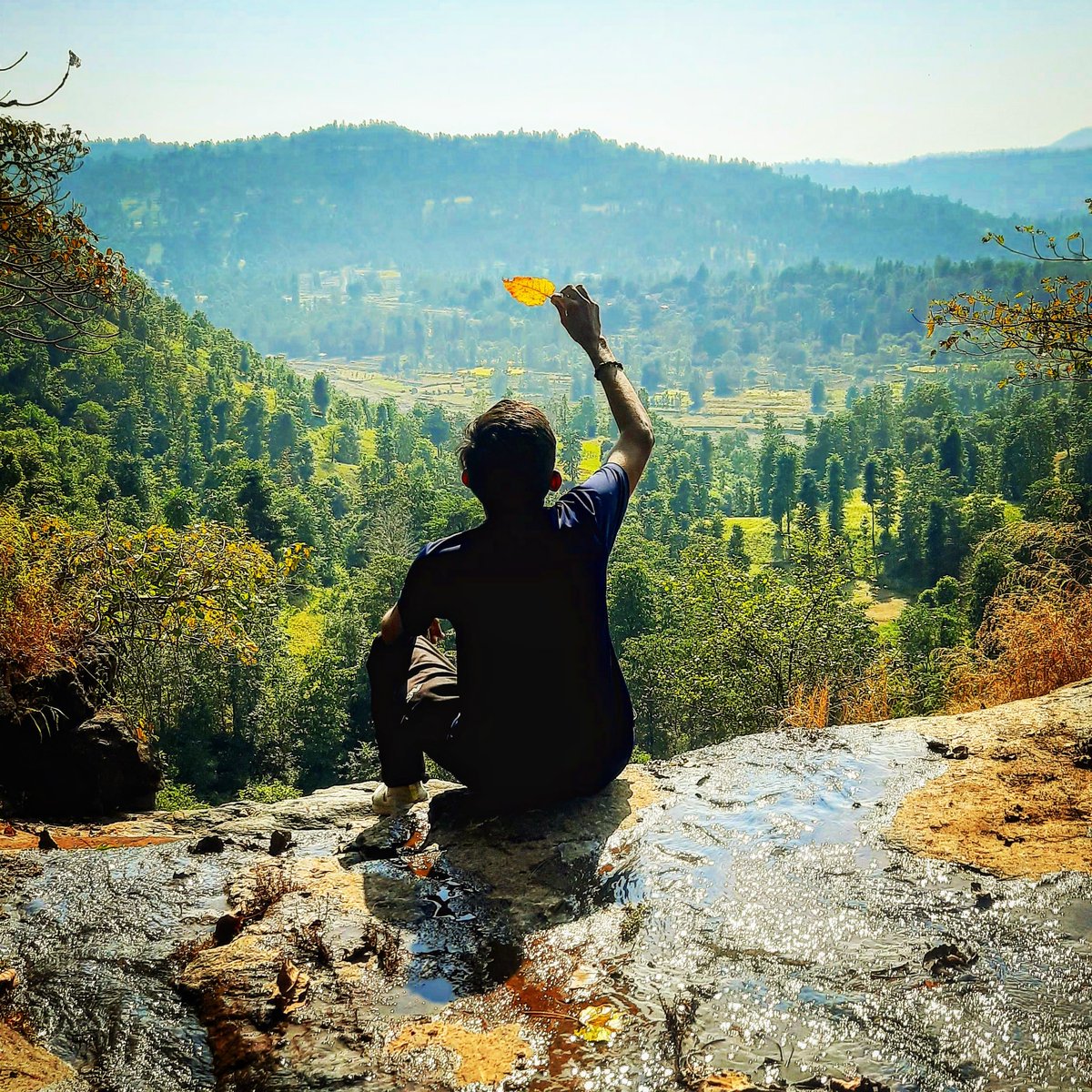 प्रकृति: रक्षति रक्षिता...!!!  🏞🌏

#WorldEnvironmentDay #Nature