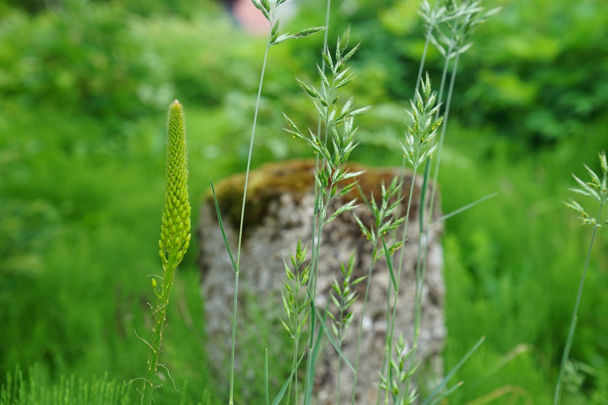 Guten Morgen ihr Lieben 🫶 
Einen entspannten Donnerstag wünsche ich Euch 👋☕️☕️🌺🤗