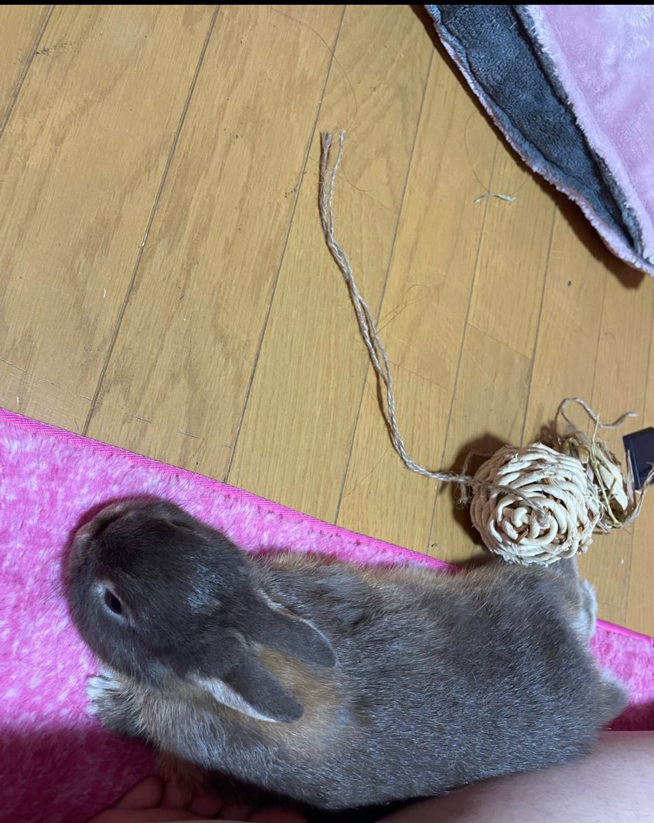 Sakura__4025's tweet photo. 1枚目が1番お気に( ��� ›ω‹ ) ु♡ https://t.co/CB32jACkTG