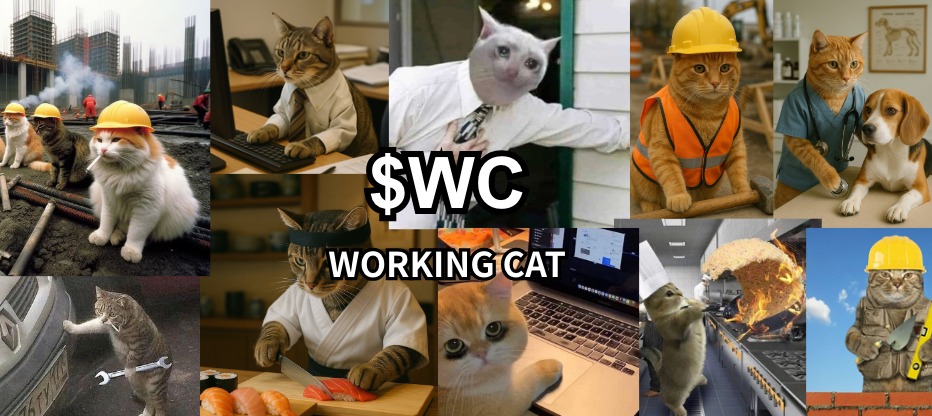 1_qqqii's tweet photo. i will pay dex when 35k

$wc (working cat)
ca: C3Z7f3DpwbM5KFBVNoydKxZeovUYBKdNtWyQYWLUpump https://t.co/v0L3YCzK6p