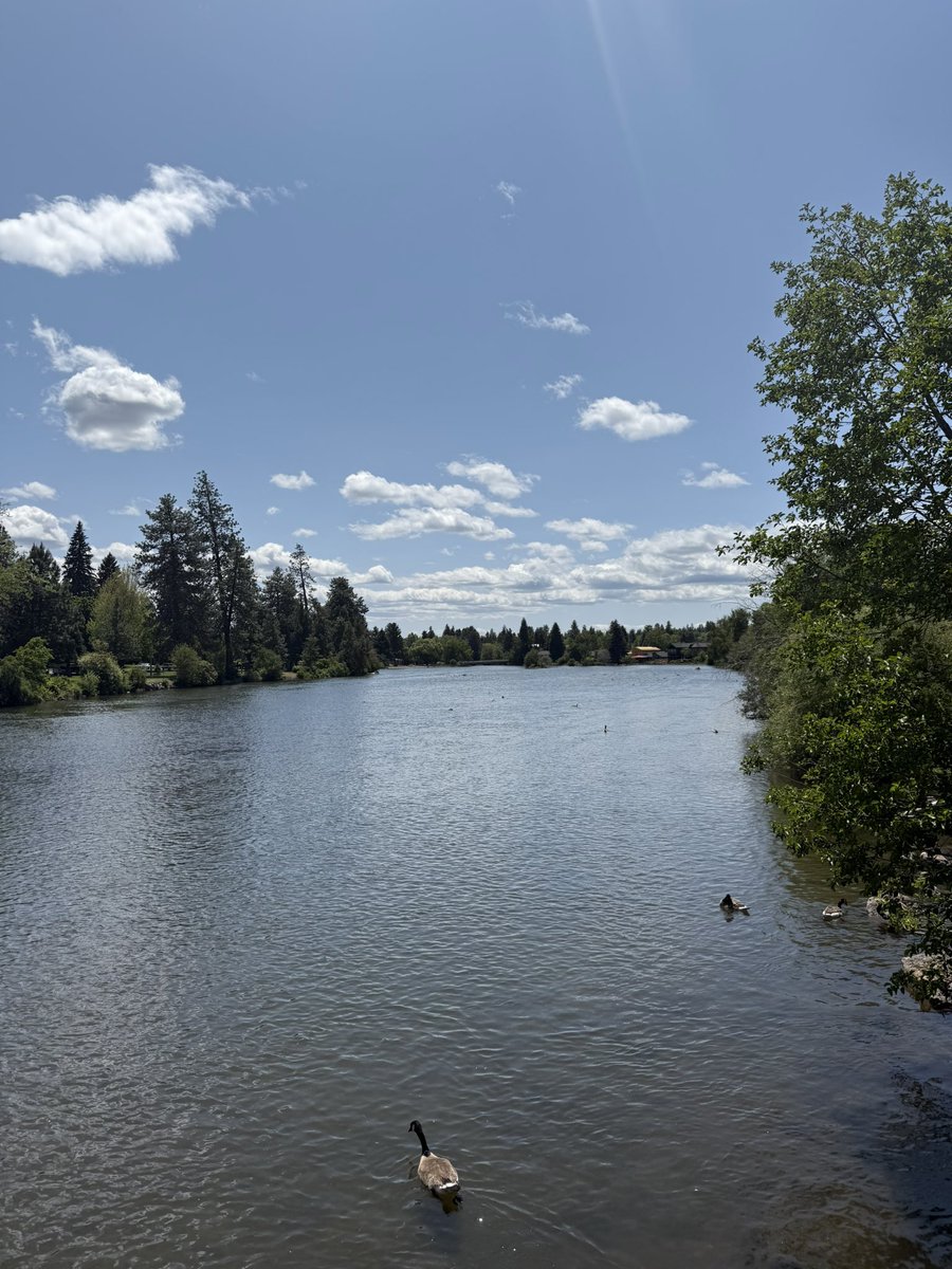 cinwick's tweet photo. #DrakePark in Bend, OR. My home away from home! ❤️ https://t.co/KWqKPgBjRN