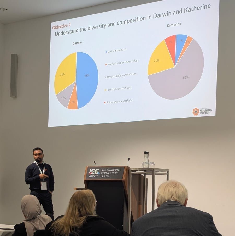 The Crawford Fund (@crawfordfund) on Twitter photo At #APPS2025, "I had the incredible opportunity to present my research on Mango Dieback in the Northern Territory—a proud milestone," says our 2024 NT scholar, Birendra Kunwar, with thanks to the Crawford Fund, <a href="/Plant_Pathogens/">Plant Pathogens (APPS)</a> and the NT Department of Agriculture and Fisheries. At #APPS2025, "I had the incredible opportunity to present my research on Mango Dieback in the Northern Territory—a proud milestone," says our 2024 NT scholar, Birendra Kunwar, with thanks to the Crawford Fund, <a href="/Plant_Pathogens/">Plant Pathogens (APPS)</a> and the NT Department of Agriculture and Fisheries.