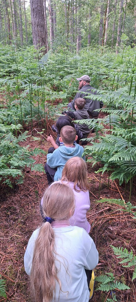 Some of us snuck off on an adventure! We needed long sticks for our den building