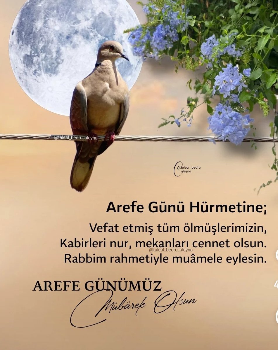 Bugünün feyiz ve bereketi üzerimizden eksik olmasın. #ArefeGünü mübarek olsun 🌹🇹🇷