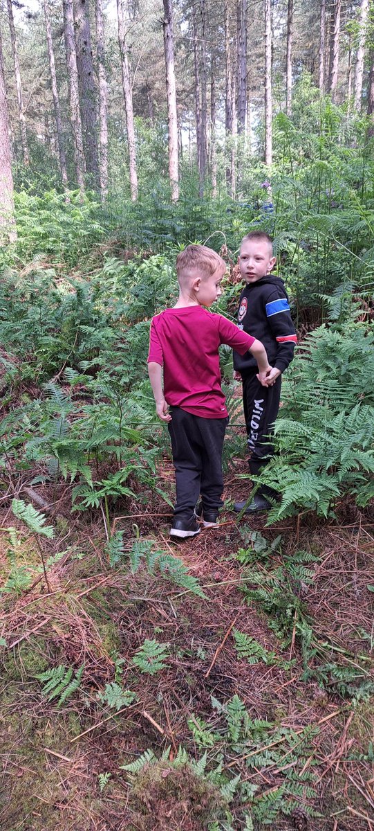 Friendships in the forest are always the best