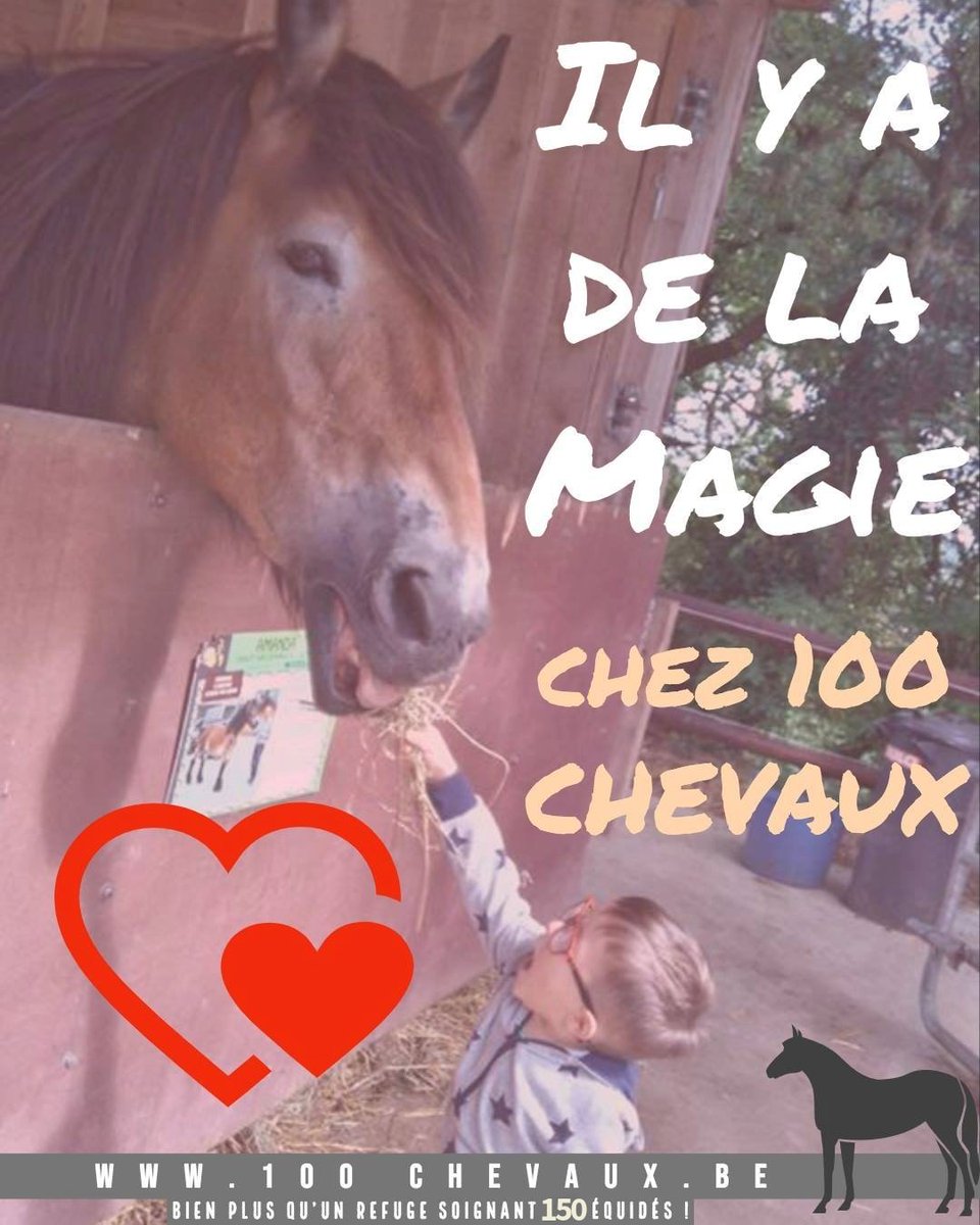 100CHEVAUXSURLH's tweet image. Ce qui est lumineux au refuge , c’est d’observer le magnifique échange entre des petits bouts humains de qq années et nos chevaux si massifs mais si prévenants à l’égard de ces enfants .
Toute la magie de la tendresse traverse à la fois nos chevaux et les enfants…
AIDEZ-NOUS !