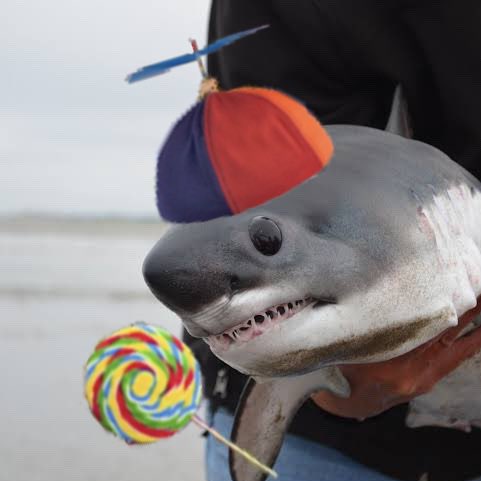 Anyone wanna give me a switch 2 for free