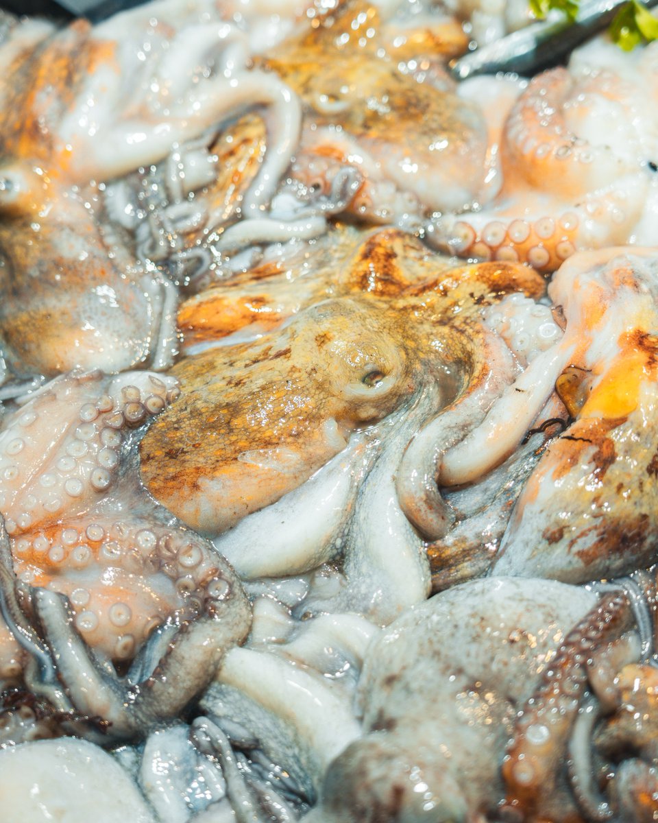 MercatOlivar's tweet image. Què vos pareix? 🤩 De bon matí, tot ben fresc a disposició dels clients i amics de Peixos Blau! 

N'Antònia i en Toni, sempre ben atents i amb un somriure per a rebrer-us i preparar la comanda al vostre gust! 

#MercatOlivar #PeixFresc #ProductedeTemporada