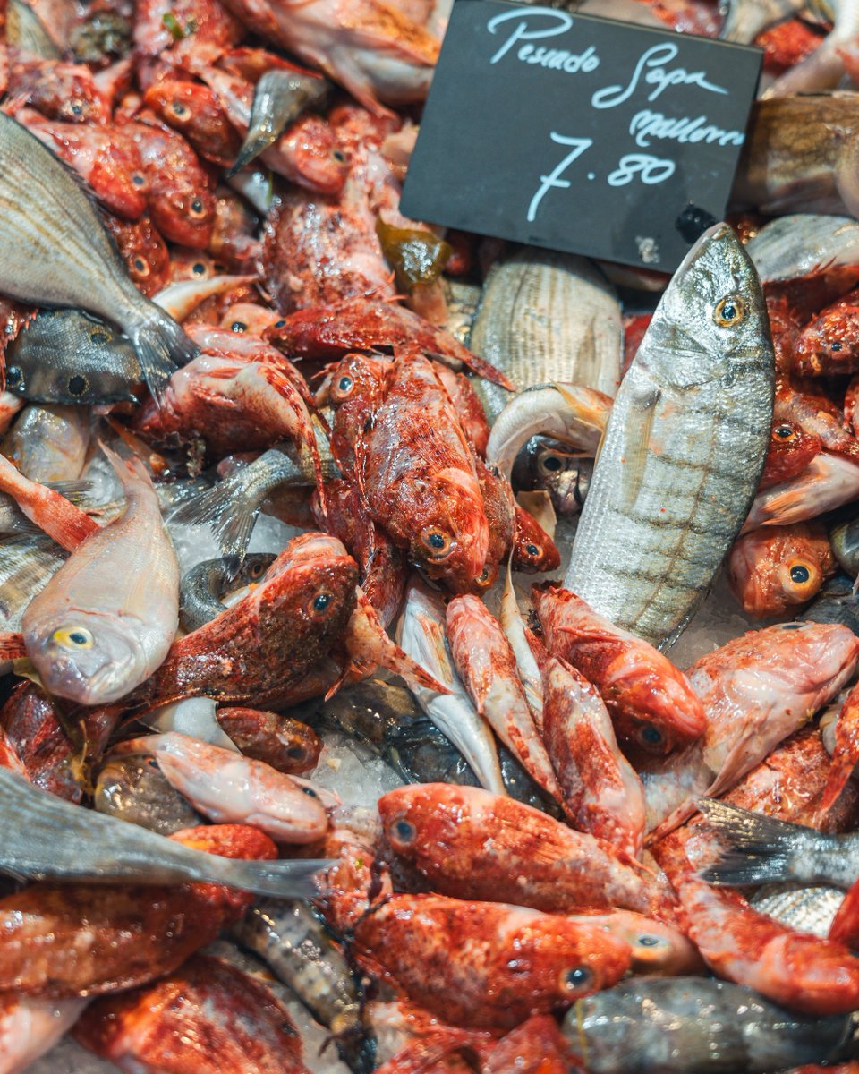 MercatOlivar's tweet image. Què vos pareix? 🤩 De bon matí, tot ben fresc a disposició dels clients i amics de Peixos Blau! 

N'Antònia i en Toni, sempre ben atents i amb un somriure per a rebrer-us i preparar la comanda al vostre gust! 

#MercatOlivar #PeixFresc #ProductedeTemporada