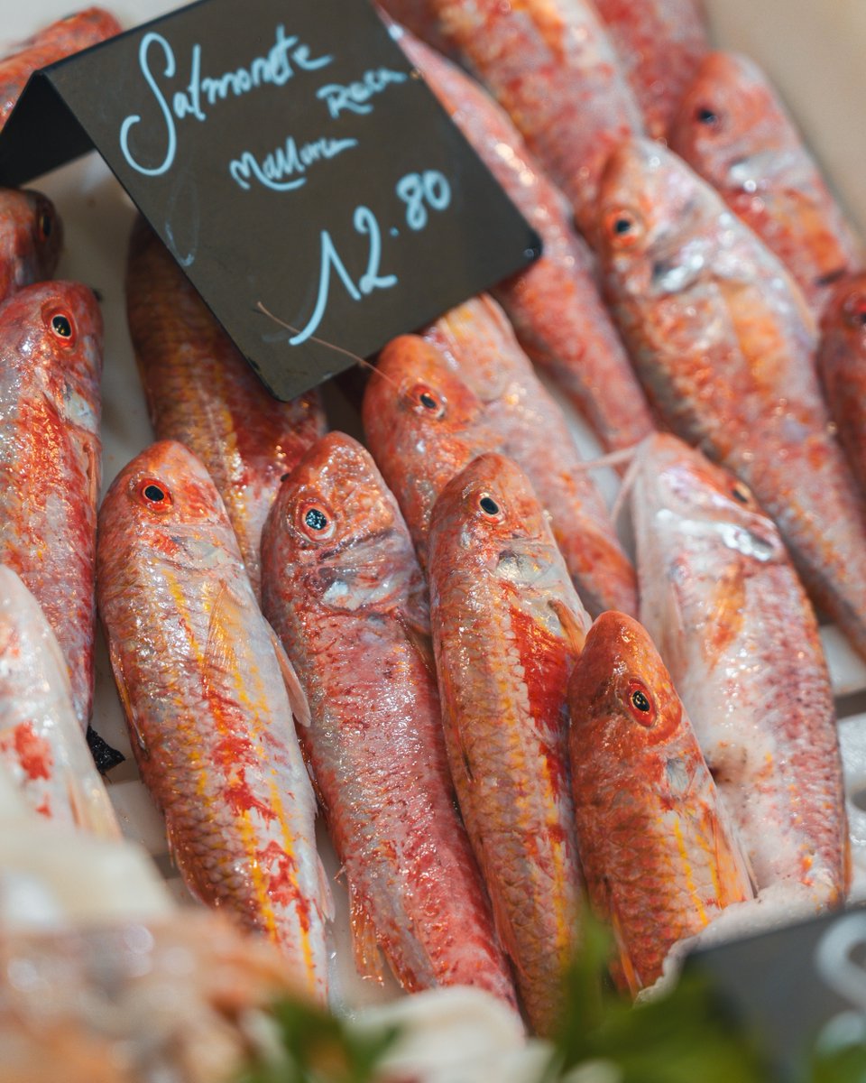 MercatOlivar's tweet image. Què vos pareix? 🤩 De bon matí, tot ben fresc a disposició dels clients i amics de Peixos Blau! 

N'Antònia i en Toni, sempre ben atents i amb un somriure per a rebrer-us i preparar la comanda al vostre gust! 

#MercatOlivar #PeixFresc #ProductedeTemporada