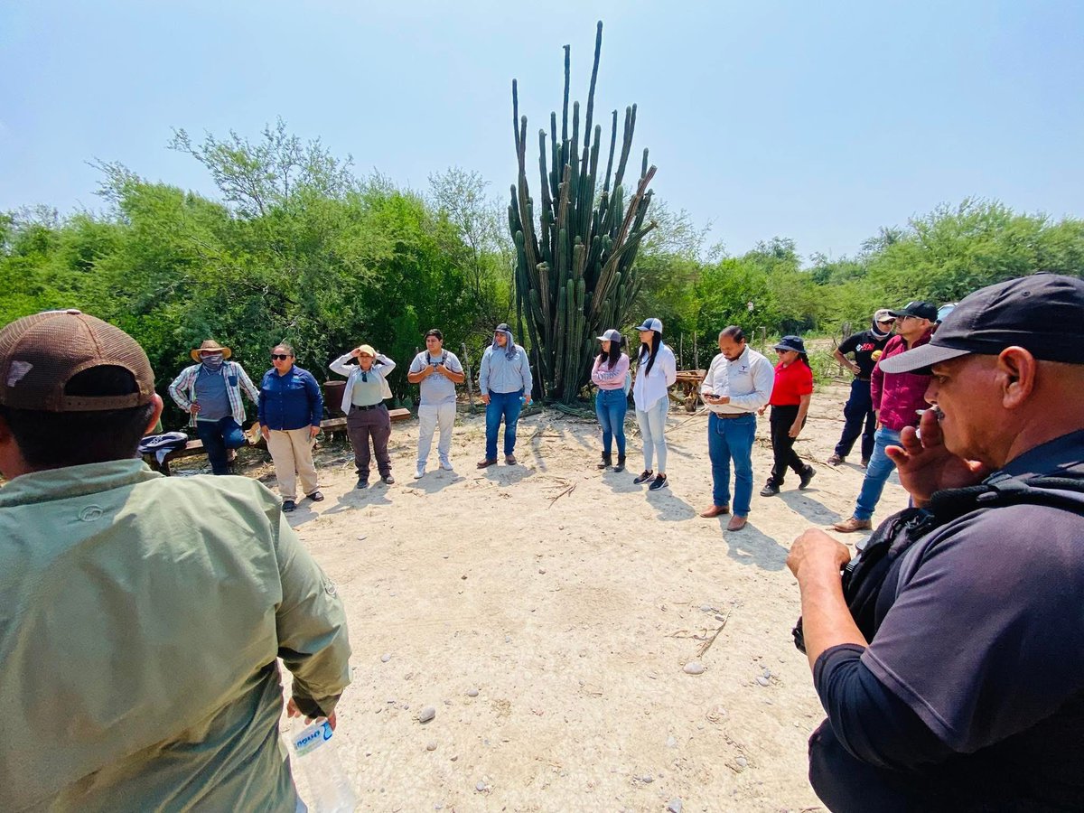 PCTamaulipas's tweet image. 🦺⛑️ Por cuarto día consecutivo con equipo aéreo de la Coordinación Estatal de Protección Civil Tamaulipas continua la búsqueda de jóven extraviado en el municipio de #Padilla.

En coordinación con SEDENA, Guardia Estatal, Fiscalía y Municipio, el personal recorre por agua…